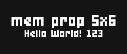 mem-prop-5x6 的真实字样