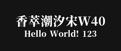 香萃潮汐宋W40 的真实字样